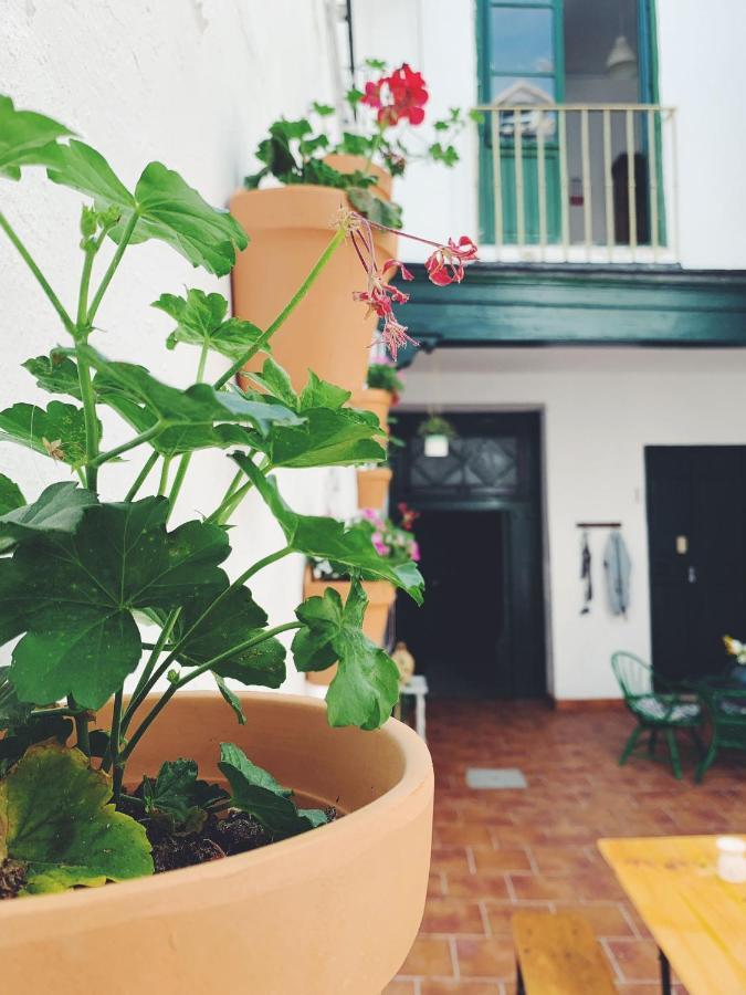 Maria Magdalena - Room 3 Málaga Exterior foto